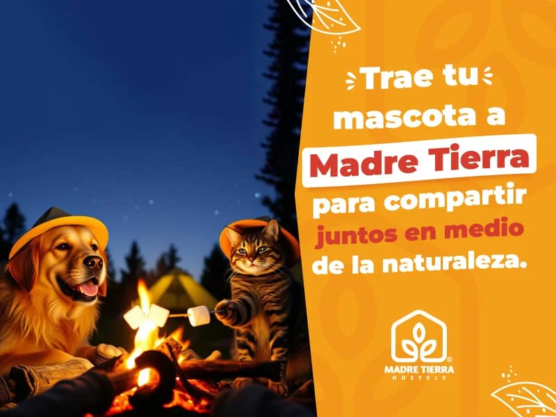 Promoción de reserva en Madre Tierra Hostels